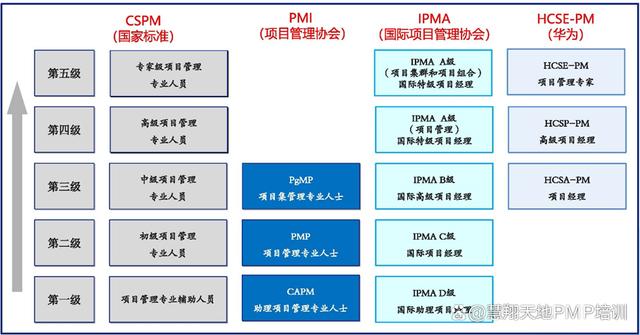 项目级别(项目级别一般填什么)
